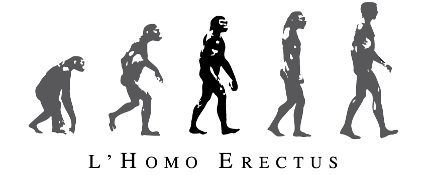 L'Homo Erectus